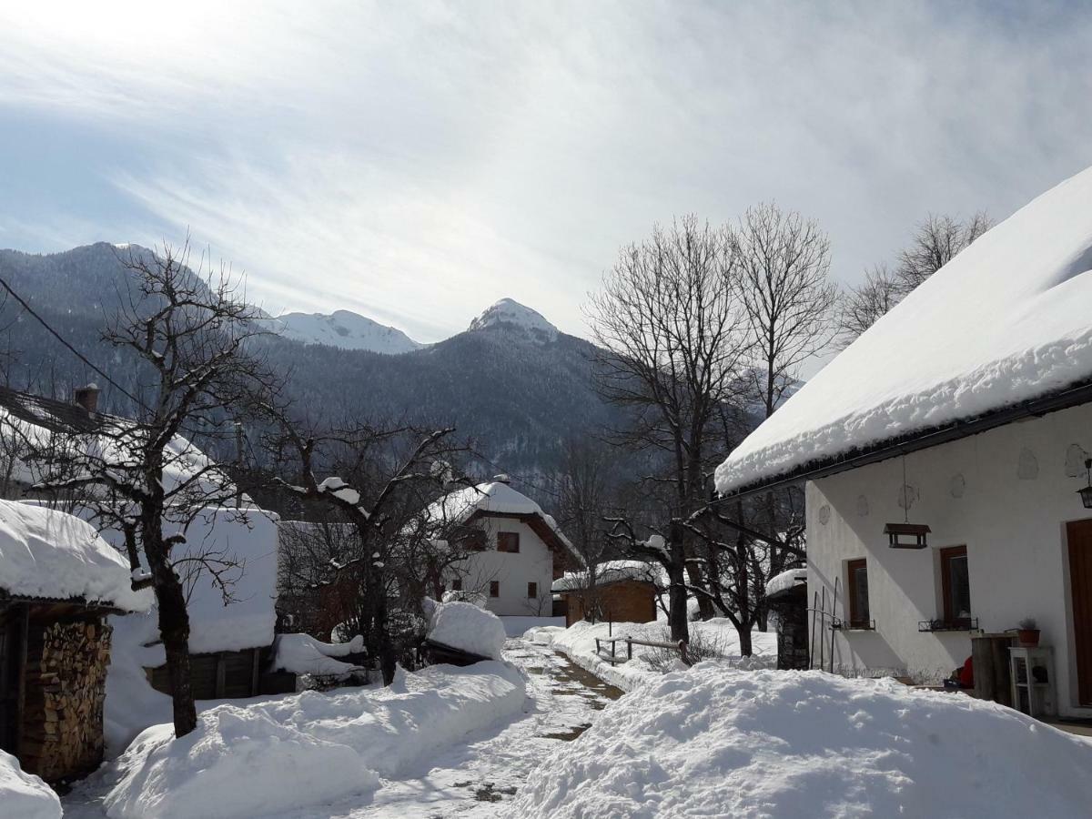 Snezak Apartment Bohinj ภายนอก รูปภาพ