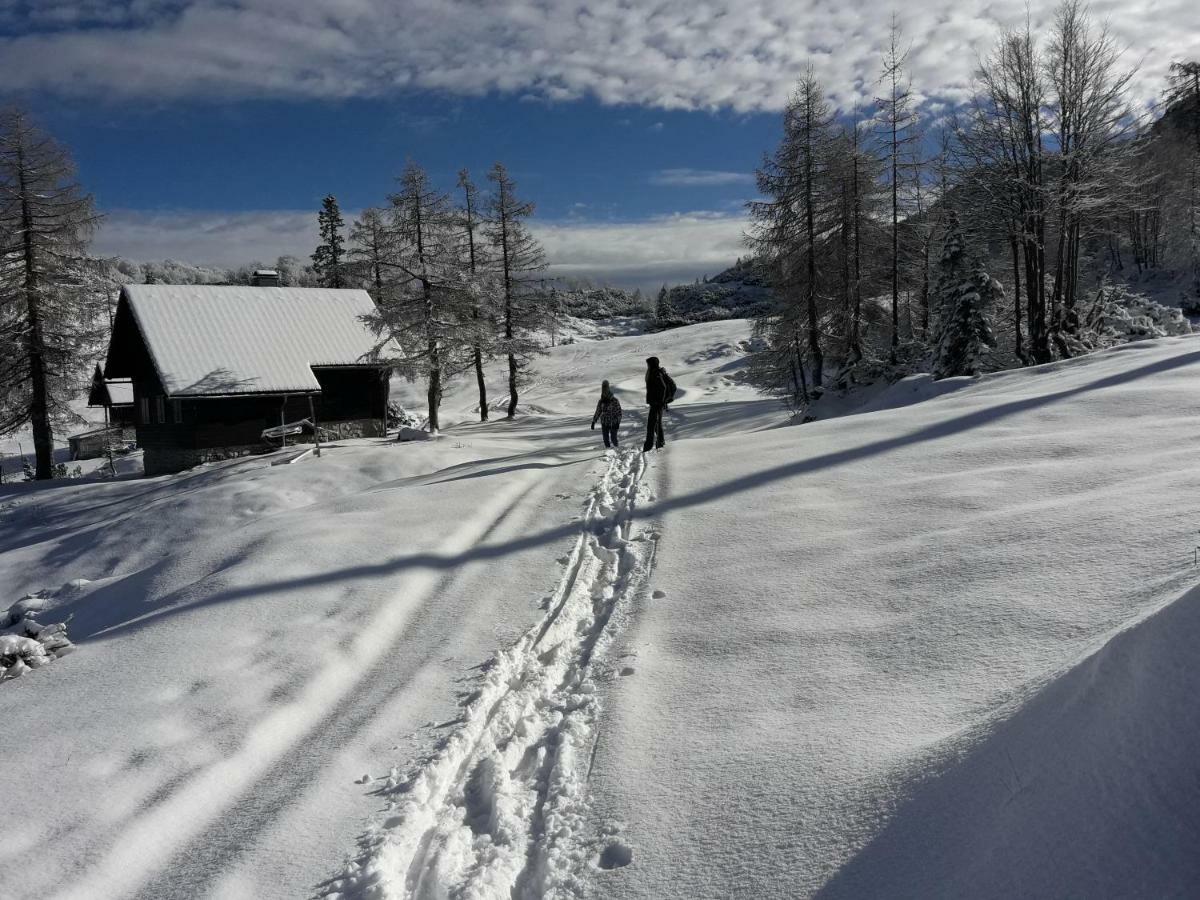 Snezak Apartment Bohinj ภายนอก รูปภาพ