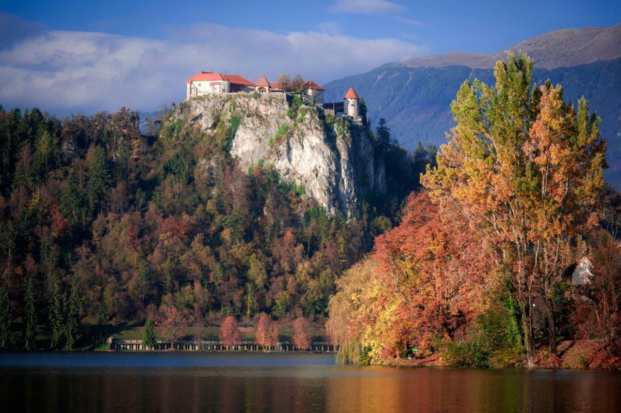 Snezak Apartment Bohinj ภายนอก รูปภาพ